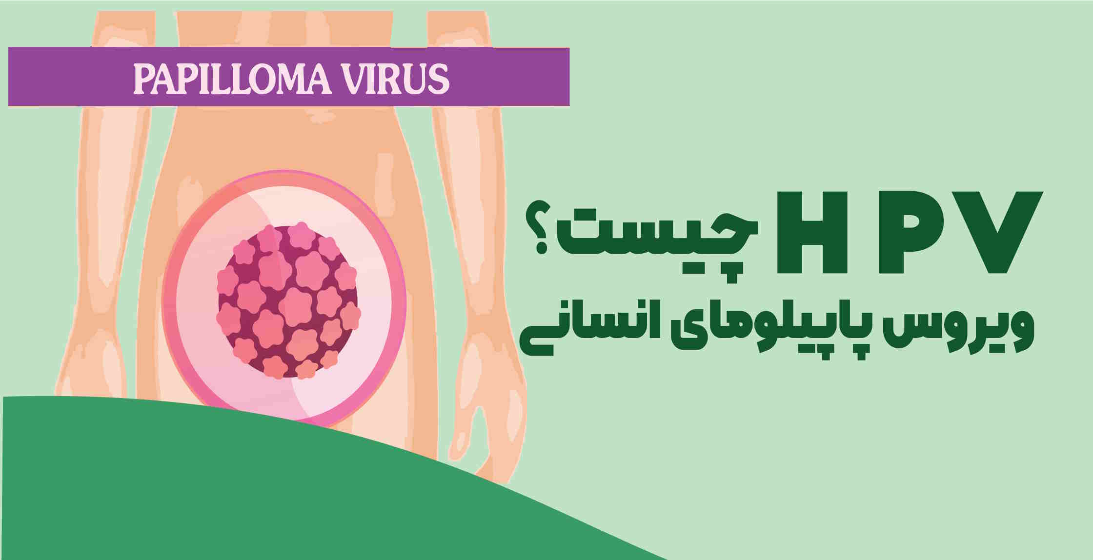 ویرورس hpv یا زگیل تناسلی