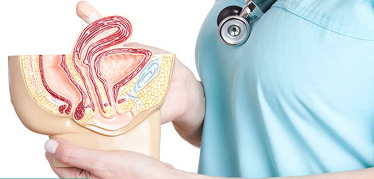 افتادگی رحم و اندامهای لگنی